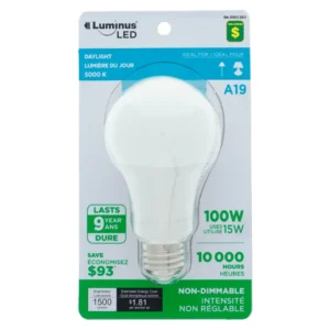 Ampoule à DEL A19 100W blanc froid