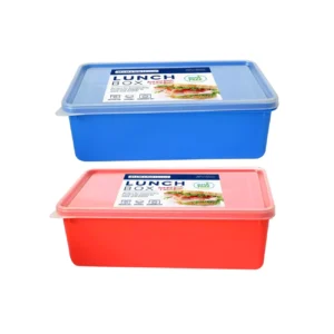 Boîte-repas – 21 x 14 x 7 cm, es
